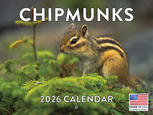 Miniatura 147 de Calendario alpaca 2026, calendario mensual de pared de 12 meses Hecho en Estados Unidos.