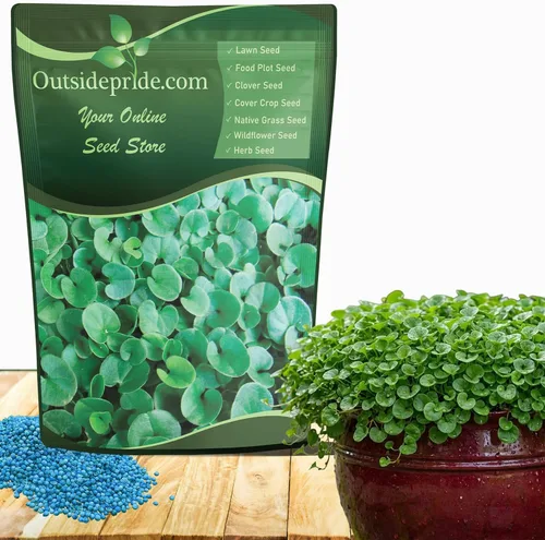 Outsidepride Semillas de Dichondra Repens Perennes - 1 libra Semillas densas verdes de cobertura del suelo de bajo mantenimiento para plantar, ideal