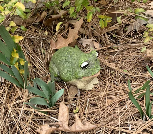 Miniatura 8 de Top Brass Figura gruesa para ocultar llaves de rana, bonita estatua de jardín de sapo con compartimento secreto, para interiores y exteriores