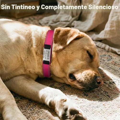 Miniatura 4 de Joytale Collares para perros personalizados, collar de nailon reflectante con placa de nombre grabada, personalizado para perros grandes, rosa Rosa
