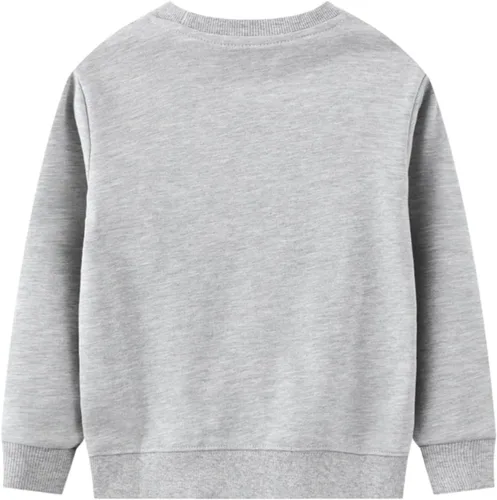 Miniatura 4 de LOKTARC Paquete de 2 sudaderas para niños pequeños con estampado de manga larga y cuello redondo