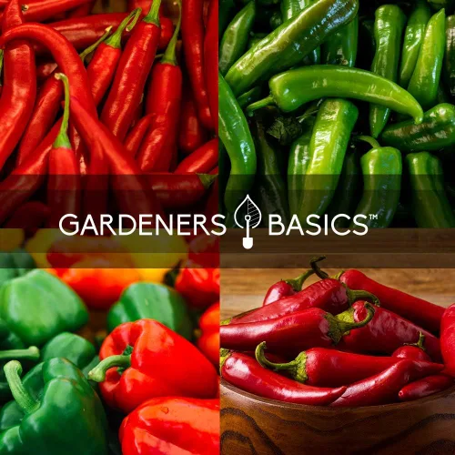 Miniatura 5 de Gardeners Basics, Semillas de pimiento para plantar 8 variedades, Jalapeño, Habanero, Pimiento, Cayena, Cera caliente húngara, Anaheim, Serrano