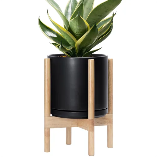 Miniatura 99 de D'vine Dev Maceta de cerámica con soporte de ébano – Maceta redonda moderna de 8 pulgadas con soporte para maceta de madera, color negro, 55-B-M-2