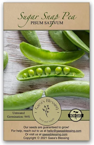 Miniatura 7 de Gaea's Blessing Semillas – Semillas de guisantes de azúcar – Semillas sin OMG para plantar con instrucciones fáciles de seguir - Tasa de germinación