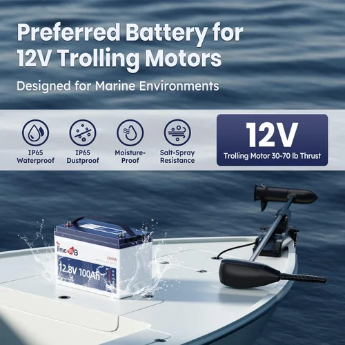 Miniatura 3 de Timeusb Batería marina LiFePO4 de 12 V 100 Ah TM con protección a baja temperatura, BMS de 100 A, más de 15000 ciclos, batería de fosfato de hierro