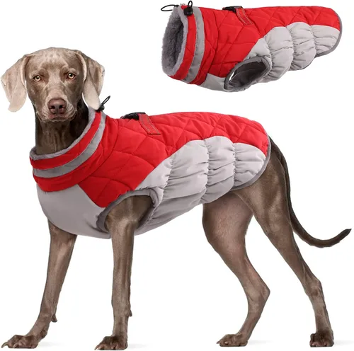 Miniatura 34 de FUAMEY - Chaqueta de invierno para perro, chaleco acolchado con arnés, ropa cálida para mascotas, abrigo con cremallera, impermeable, para perros