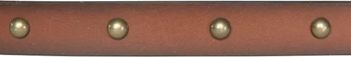 Miniatura 4 de Lucky Brand Women's Domed Studded Leather Belt with Harness Buckle