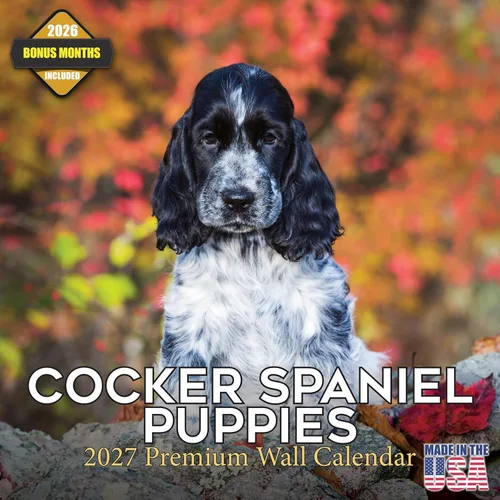 Calendario 2025 2026 de cachorros Cocker Spaniel - Calendario mensual de pared de raza de perro - 12" x 24" abierto - Papel grueso sin sangrado -