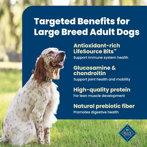 Miniatura 3 de Blue Buffalo Life Protection Formula - Alimento seco para perros adultos de raza grande, promueve la salud de las articulaciones y los músculos