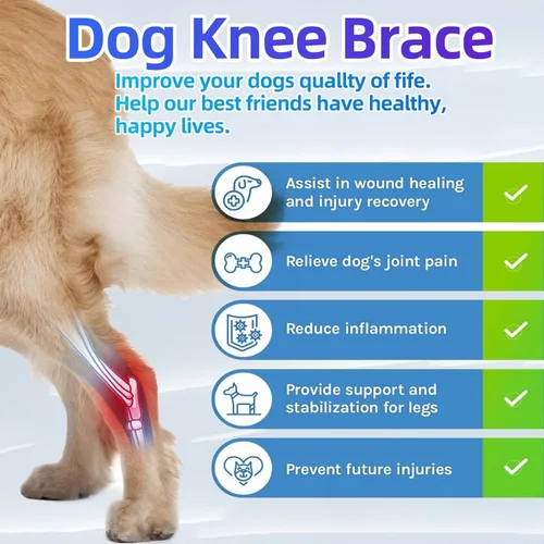 Miniatura 4 de Rodillera para perros para lesiones desgarradas de Acl y Ccl, soporte ajustable para patas traseras para perros con estabilizadores de metal