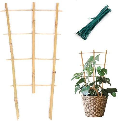 Miniatura 7 de Cambaverd Enrejado de plantas de interior para plantas trepadoras de 16 pulgadas, paquete de 6 enrejados de bambú para plantas en maceta