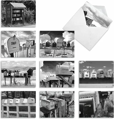 The Best Card Company Juego de 10 notas de agradecimiento surtidas de 4 x 5.12 pulgadas con sobres (10 diseños, 1 cada uno) In The M9681TYG