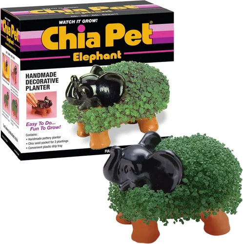 Miniatura 5 de Chia Pet Bear Cub con paquete de semillas, maceta decorativa de cerámica, fácil de hacer y divertido de cultivar, regalo novedoso, perfecto