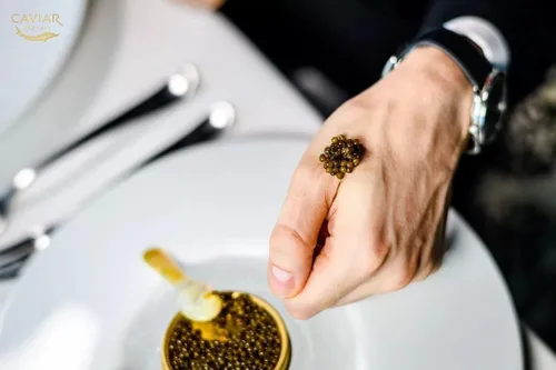 Miniatura 8 de 𝐁𝐄𝐒𝐓𝐒𝐄𝐋𝐋𝐄𝐑 Premium Caviar de Esturión Siberiano Real Negro - 100 g - (3.5 oz) - Clásico Esturión Malossol Esturión Negro Roe - [NOVIEMBRE 2025]