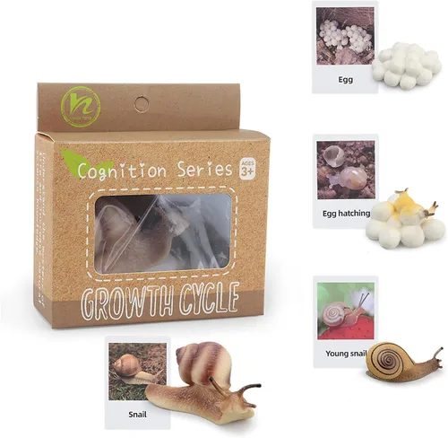 Miniatura 9 de Montessori Life Cycle Animal Insect Figurines Juguetes de aprendizaje y educación, juguetes de insectos de plástico para niños, actividades