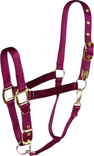 Miniatura 9 de Hamilton, Halter de 1 pulgada con barbilla ajustable, azul baya, 800-1100 libras