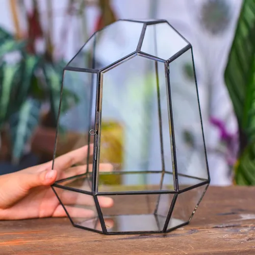 Miniatura 6 de NCYP Cerrar Terrario geométrico de vidrio con puerta, maceta irregular de 9.8 pulgadas de alto para suculentas, cactus pequeños, decoración moderna