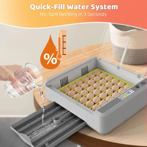 Miniatura 7 de Incubadora de 36 huevos para incubar pollitos con control automático de temperatura y humedad, vista panorámica multifuncional ultra clara con días