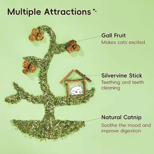 Miniatura 2 de Potaroma Juego de juguetes naturales para gatos con hierba gatera Silvervine y fruta con carcasa de felpa, juguetes orgánicos para gatitos