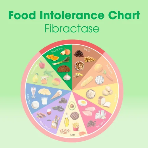 Miniatura 8 de Intoleran Fibractase Forte Digestive Enzymes Testpack - 6 cápsulas Suplemento para la intolerancia a los fructanos y galactanos Ayuda a digerir
