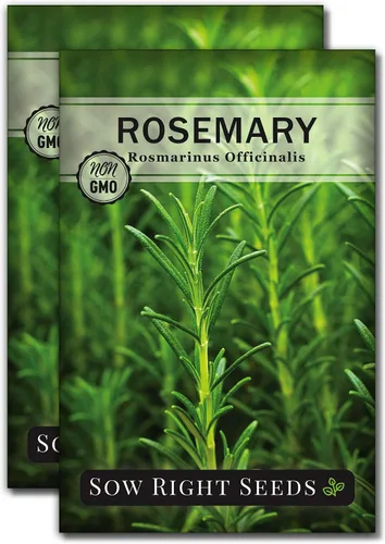 Miniatura 8 de Sow Right Seeds - Semilla de romero para plantar - Paquete de reliquia sin OMG con instrucciones para plantar y cultivar un jardín de hierbas