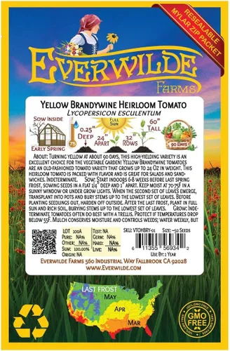 Miniatura 2 de Everwilde Farms - 50 semillas de tomate tradicionales de brandywine amarillo - Paquete de semillas Gold Vault
