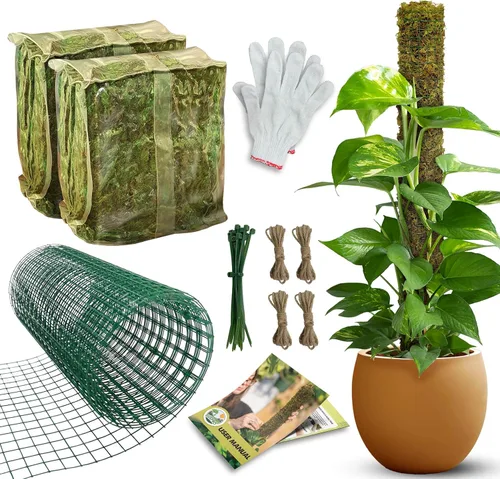 Miniatura 17 de DUSPRO Poste no doblable de 59 pulgadas para plantas trepadoras grandes, poste de musgo grande para Monstera, estacas para plantas