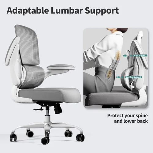 Miniatura 6 de TRALT Silla de oficina – Silla de escritorio ergonómica con soporte lumbar ajustable, silla de computadora de malla, sillas ejecutivas para oficina