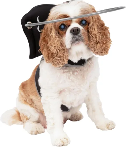Muffin’s Halo® – El Halo Original para Perros Ciegos | Arnés y Collar de Parachoques Accesorio para Navegación Segura y Confianza – Negro, Tamaño 2