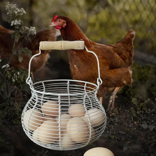Miniatura 6 de LINCOUNTRY. Cesta de huevo de gallina para recoger huevos, cesta de huevos de alambre de granja para recoger huevos frescos con asa, cesta de metal