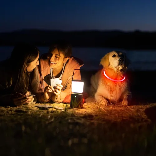 Miniatura 7 de Collar de perro LED Higo - Collares de perro con luz recargable por USB, collar LED para perros con flash DIY para paseos nocturnos de tus perros