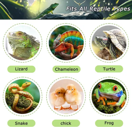Miniatura 5 de Bombillas UVA de 60 W para lámpara de calor para reptiles, luz de punto de sol para dragón barbudo, lagarto, tortuga, pollitos y anfibios, luz solar