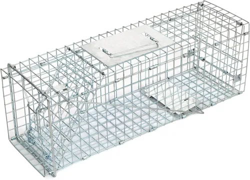 Miniatura 5 de JungleA Jaula de trampa para animales, jaula plegable de 24 pulgadas con 1 puerta de hierro, trampa humana para atrapar y liberar roedores