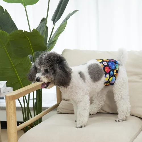 Miniatura 6 de Pet Soft Bandas para el vientre para perros, pañales lavables para perros machos, reutilizables, paquete de 3 unidades para cachorros