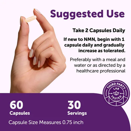 Miniatura 4 de Complejo NMN 1,000 mg por porción, 60 cápsulas vegetales 10 en 1 con mononucleótido de nicotinamida, vitamina C, resveratrol, CoQ10, TMG
