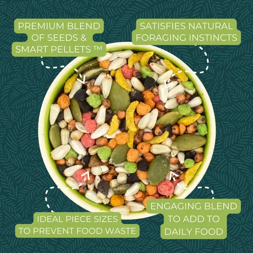 Miniatura 4 de ZuPreem Sensible Seed Alimento para Aves, Cacatúa, Agapornis, Cuáquero, Conuro Pequeño, Mezcla de Semillas y Pellets para Aves Medianas, Complemento