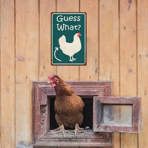 Miniatura 6 de Adivina Qué Divertido Gallinero Cartel de Hojalata, Póster de Trasero de Pollo, Arte de Pared de Cocina de Granja, Accesorios de Gallinero