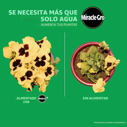 Miniatura 4 de Miracle-Gro - Regadera individual para alimento vegetal soluble para plantas, incluye 24 paquetes premedidos