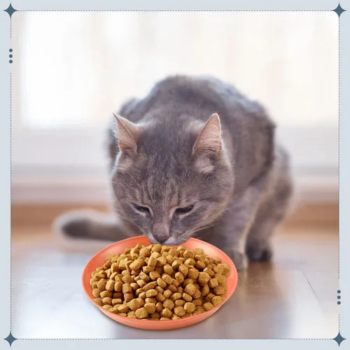 Miniatura 7 de Gerrii Tazón redondo de 12 piezas para aliviar la fatiga de la barba, plato de comida para gatos poco profundo de 6 pulgadas, cuencos de Vintage