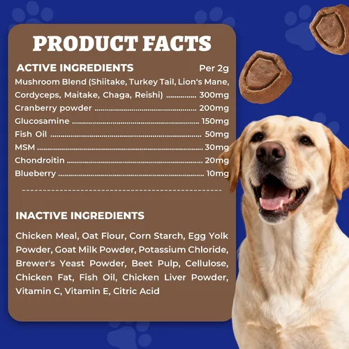 Miniatura 6 de 260 Bites - Hongo de cola de pavo para perros, inmune, intestino, piel, salud de las articulaciones, suplemento de hongos para perros - Cola de pavo