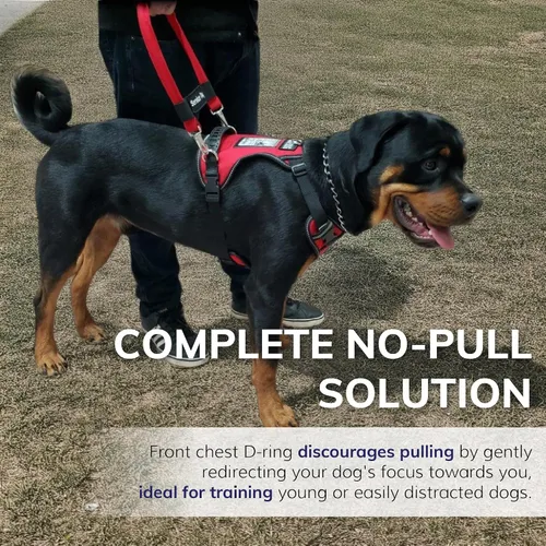 Miniatura 3 de ActiveDogs - Arnés para perro de servicio, ajustable, sin tirones, para perros pequeños, con parche para perro de servicio, asa, ventana
