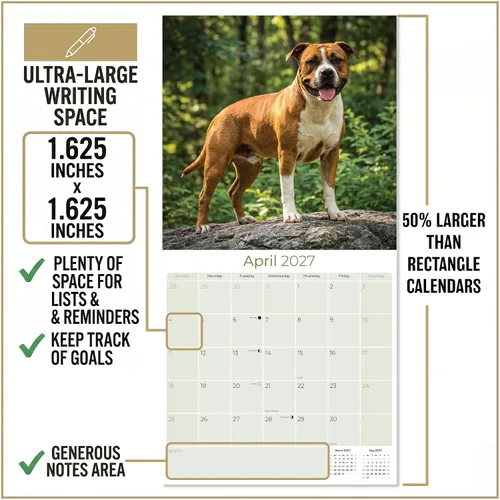 Miniatura 4 de Calendario 2025 2026 de American Staffordshire Terrier – Calendario mensual de pared de raza de perro – 12" x 24" abierto – Papel grueso sin