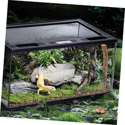 Miniatura 9 de Soporte de madera de uva dragón barbudo juguete succión árbol rama lagarto suministros decoración terrario