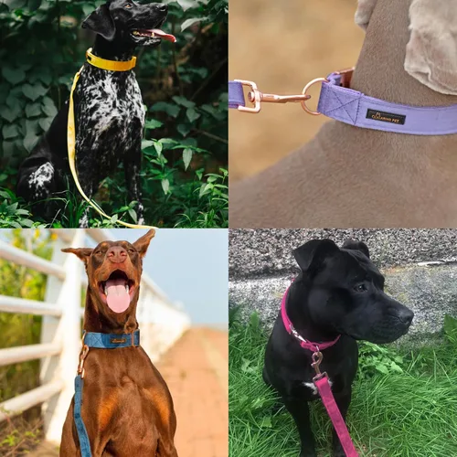 Miniatura 2 de ARING PET Correa para perro, correas de terciopelo para perro, collares a juego, hecha a mano, resistente correa de terciopelo negro para perros