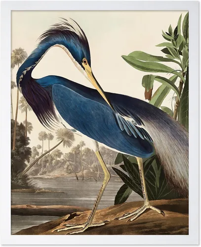 Miniatura 52 de Poster Master Vintage James Audubon Póster - Impresión Retro de Cuervo - Arte de Aves de América - Arte de Aves - Regalo para Hombres, Mujeres