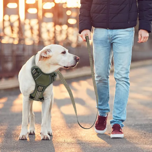 Miniatura 6 de Arnés sin tirones para perros pequeños, ajustable sin estrangulamiento, chaleco para mascotas con correa para perro, arnés reflectante inteligente