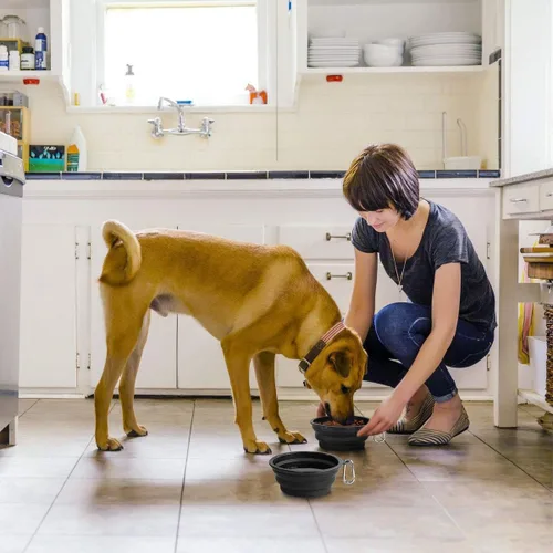 Miniatura 5 de Kytely Tazones grandes plegables para perros, paquete de 2 tazones plegables de viaje para perros de 34 onzas, cuenco portátil para alimentos