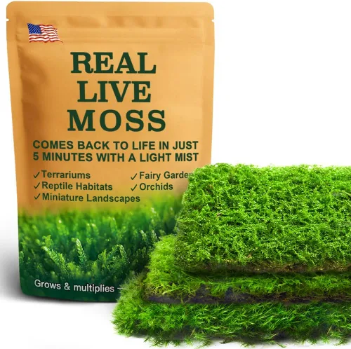 Miniatura 13 de Real Live Moss - Paquete variado (cada uno de 3.5 x 7 pulgadas), musgo real decorativo para terrarios, mini jardines, plantas en maceta y bonsái