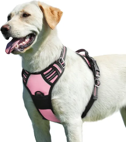 Miniatura 43 de Eagloo Arnés para perro pequeño, sin tirones, chaleco de servicio con tiras reflectantes y asa de control, ajustable y cómodo para caminar, arnés
