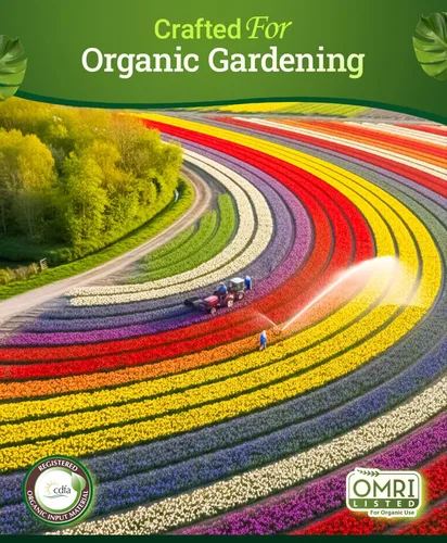 Miniatura 6 de FoxFarm Happy Frog Fertilizante de harina de huesos al vapor – Fertilizante de fósforo de cribado fino con calcio y hongos micorrícicos, apoya
